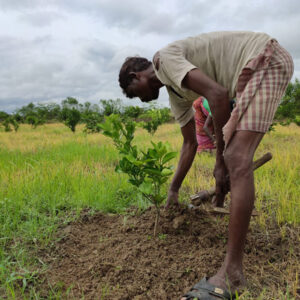Project Shyamolima, West Bengal