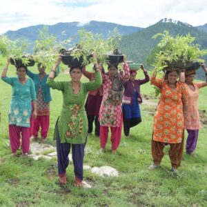 Project Protect Himalayas