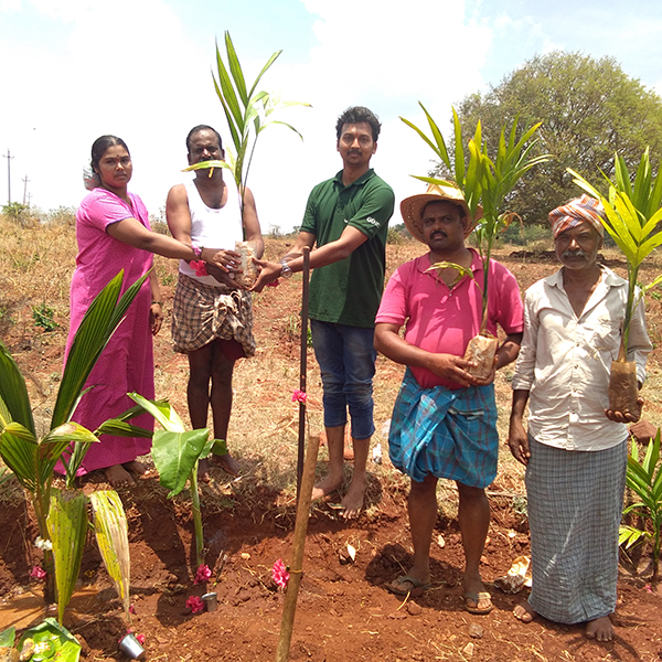 Rural Plantation, for Dr Reddy