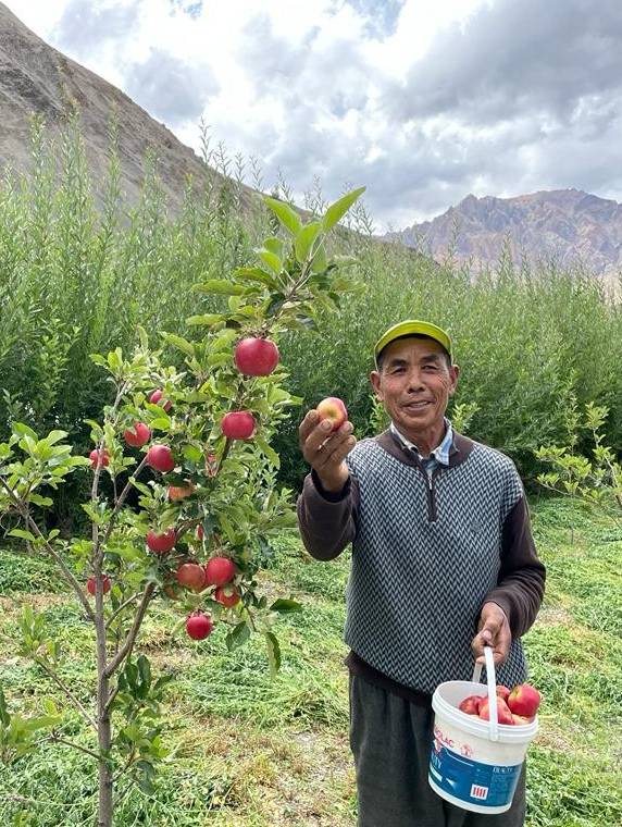 Forest That Breathe – Growing Habitats